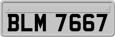 BLM7667