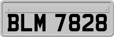 BLM7828