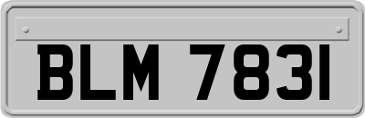 BLM7831