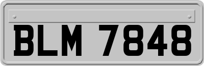 BLM7848