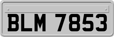 BLM7853
