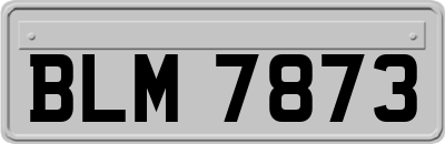 BLM7873