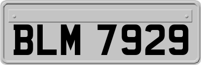 BLM7929