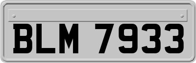 BLM7933