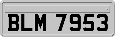BLM7953