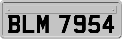 BLM7954