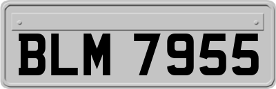 BLM7955