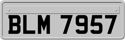 BLM7957