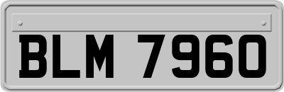 BLM7960