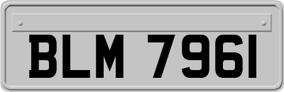 BLM7961