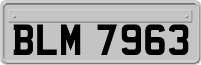 BLM7963