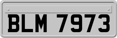 BLM7973