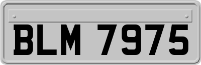 BLM7975