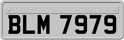 BLM7979
