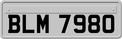 BLM7980