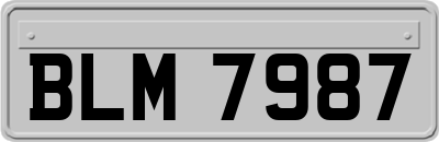 BLM7987