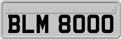 BLM8000