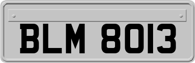 BLM8013