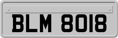 BLM8018