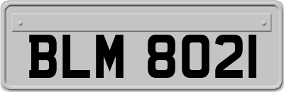 BLM8021
