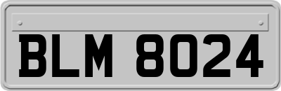 BLM8024