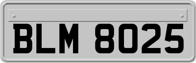 BLM8025