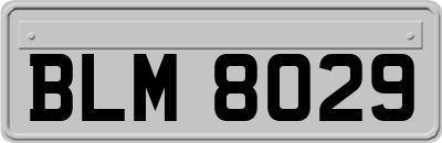 BLM8029