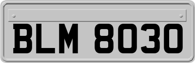 BLM8030