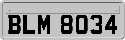 BLM8034