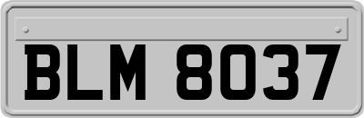 BLM8037
