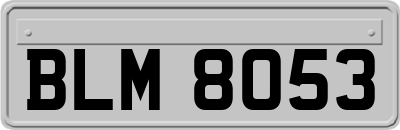 BLM8053