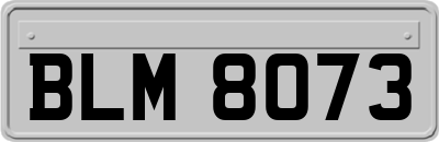 BLM8073