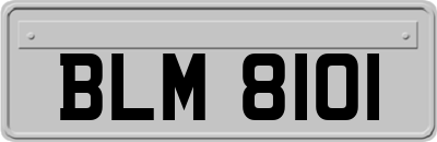BLM8101