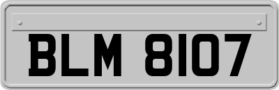 BLM8107