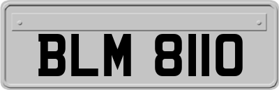 BLM8110