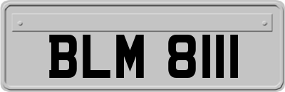 BLM8111
