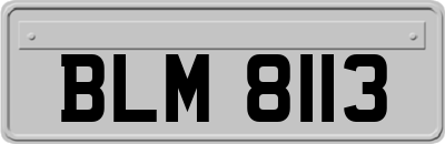 BLM8113