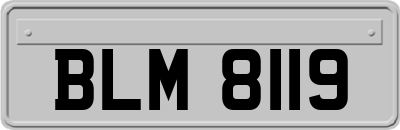 BLM8119