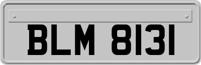 BLM8131