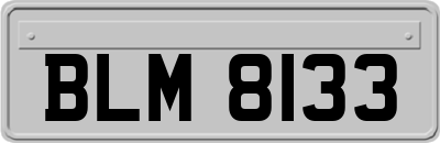 BLM8133