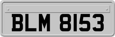 BLM8153