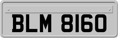 BLM8160
