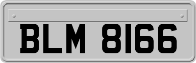 BLM8166