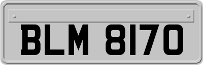 BLM8170