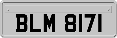 BLM8171