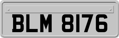 BLM8176