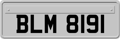 BLM8191