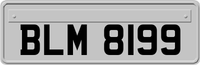 BLM8199