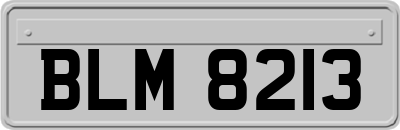 BLM8213