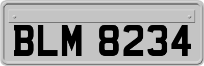 BLM8234